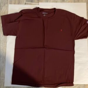 Champion Men's Maroon T-Shirt